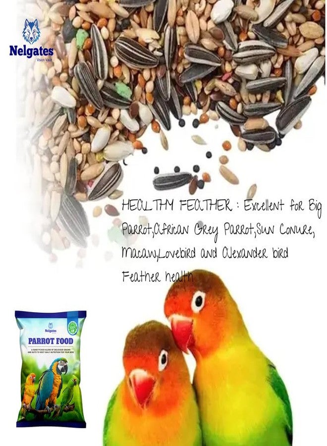 Nelgates Parrot Bird Food for Big Parrot African Grey Parrot,Sun Conure,Macaw,Lovebird and Alexander All Life Stages Natural Mix 500grams - Image 5